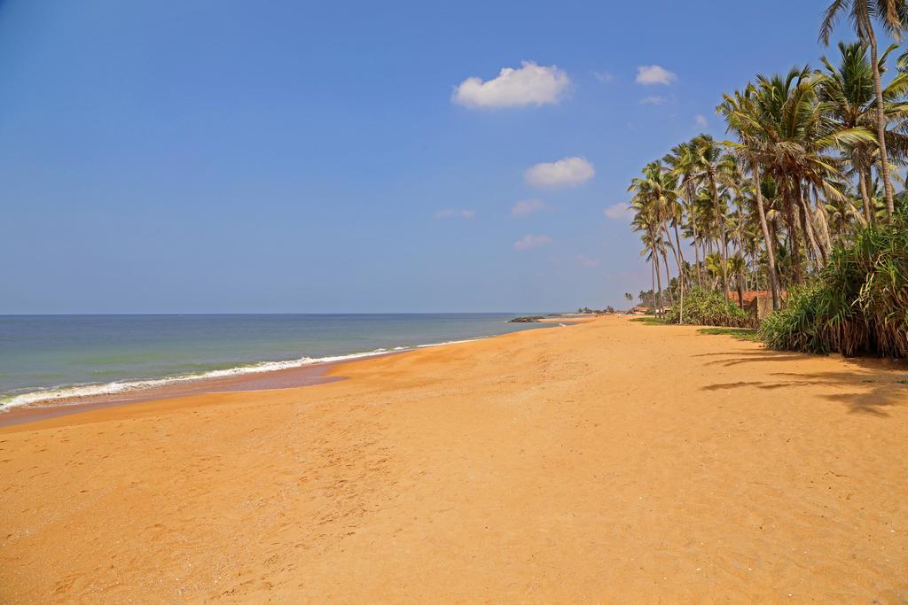 Kumudu Valley Resort Wayikkal Exterior photo
